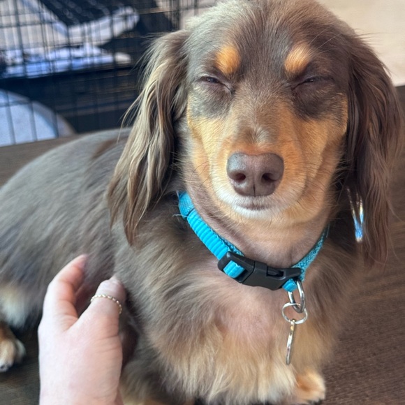 Meet your Posher, Ashley - Picture 3 of 15